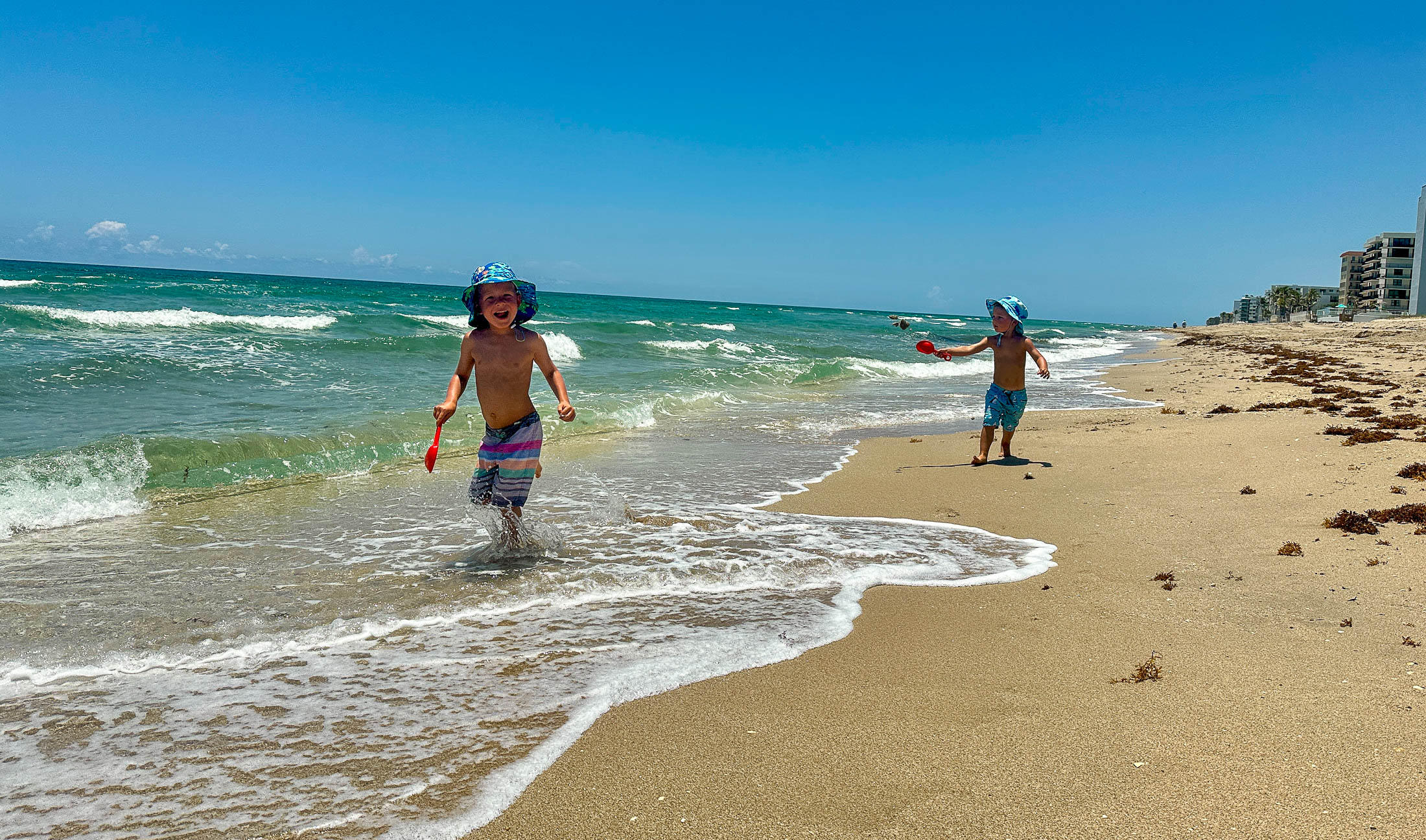 Florida – Last Days featured image